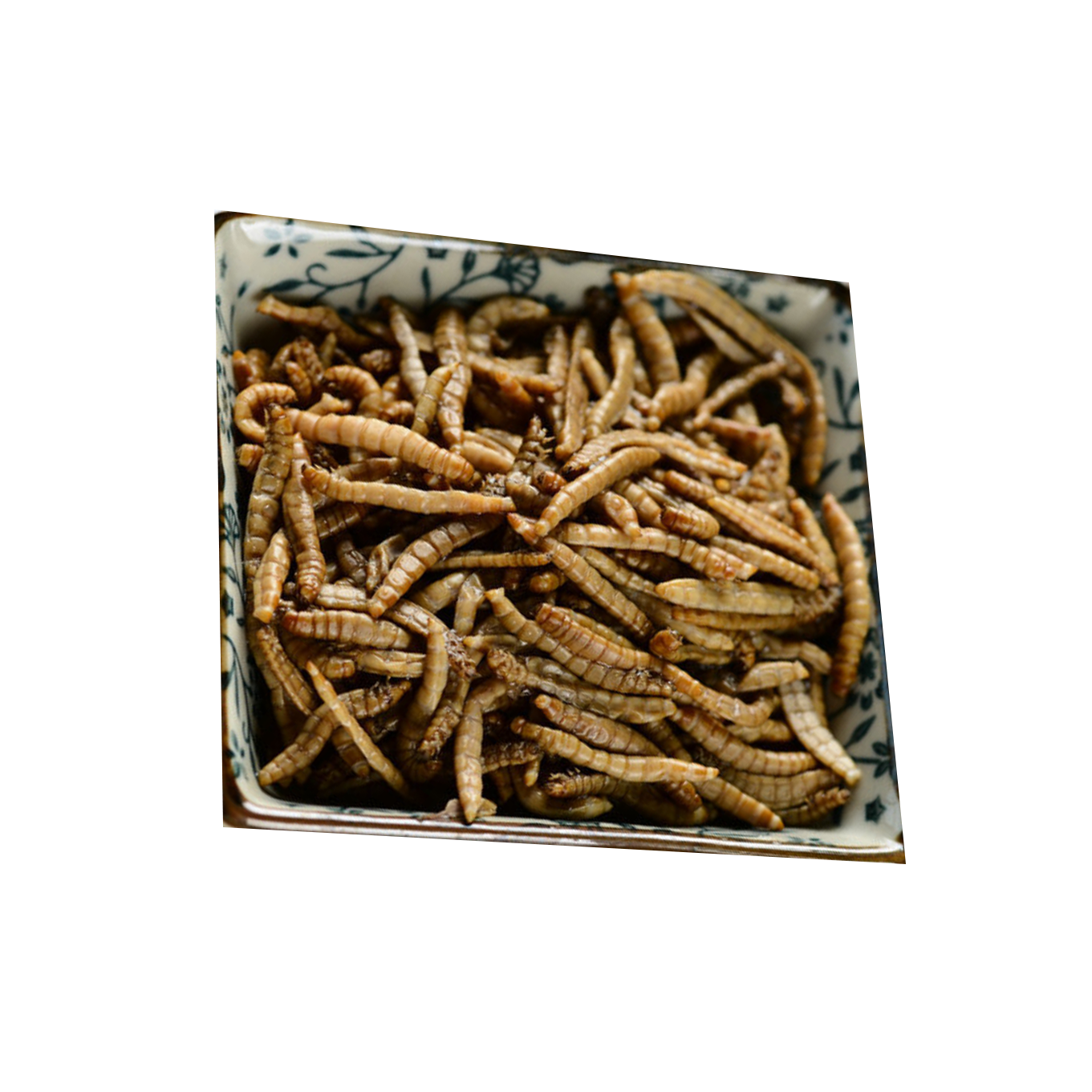 Fresh Mealworms