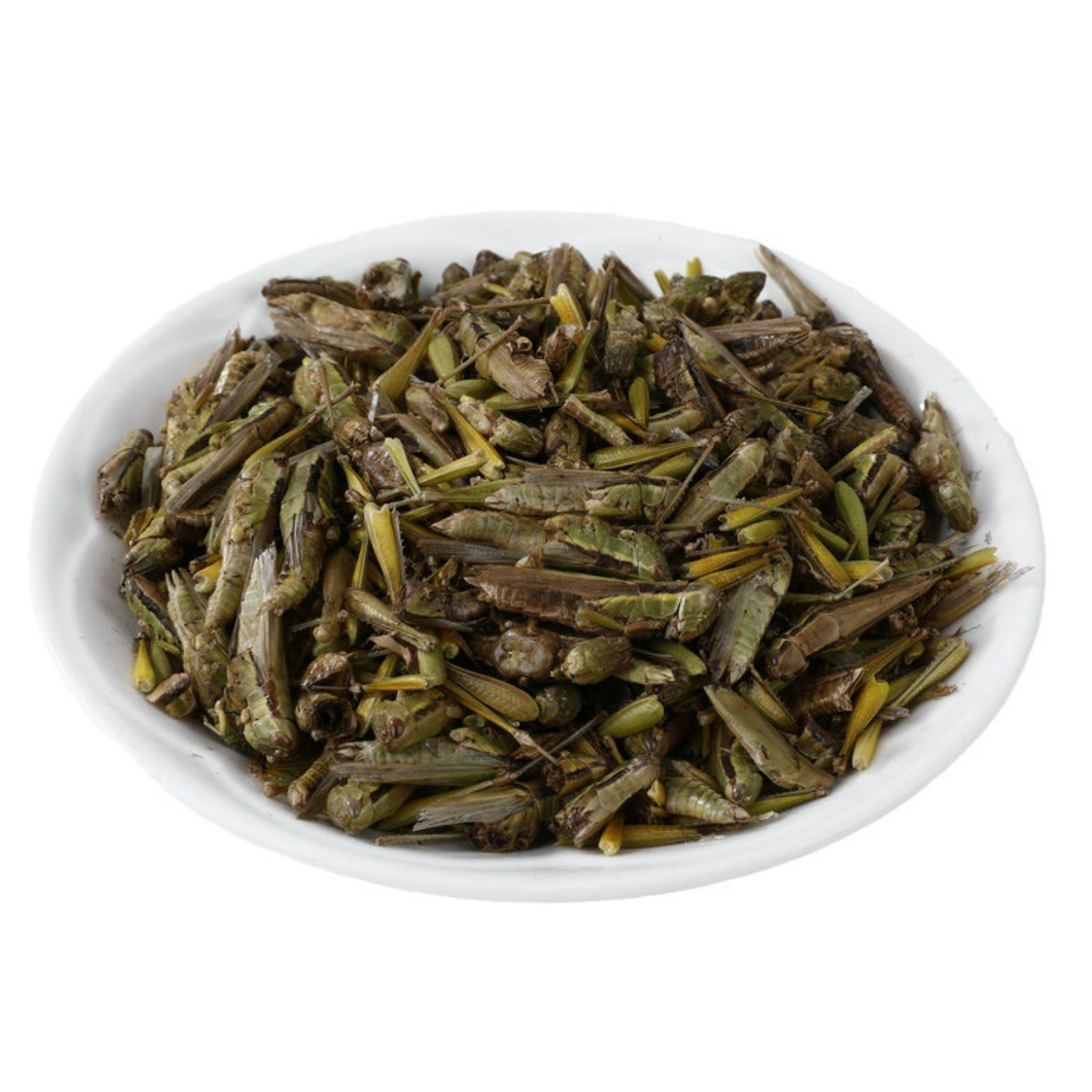 Freeze Dried Grasshopper