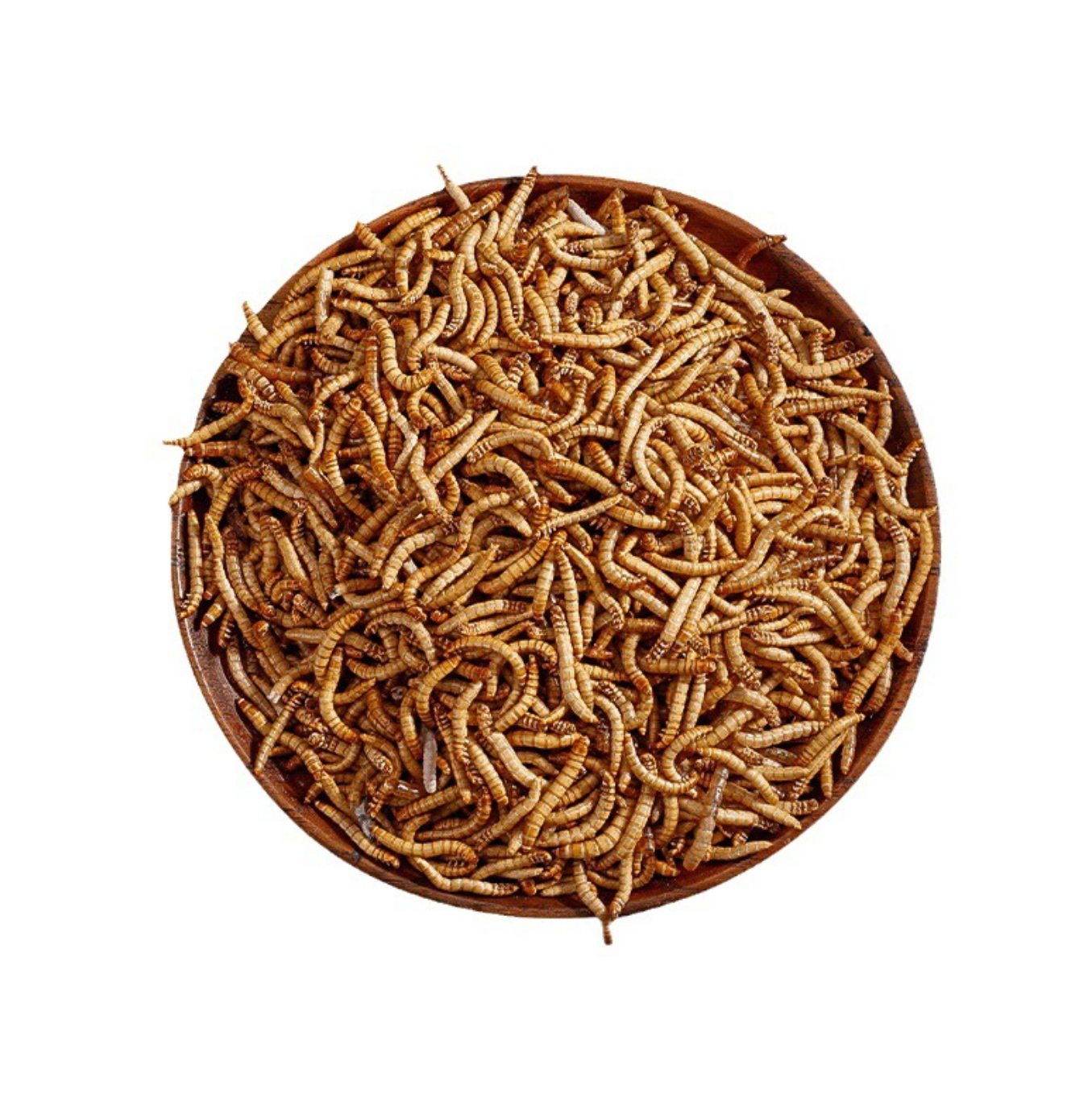 Freeze Dried Mealworms