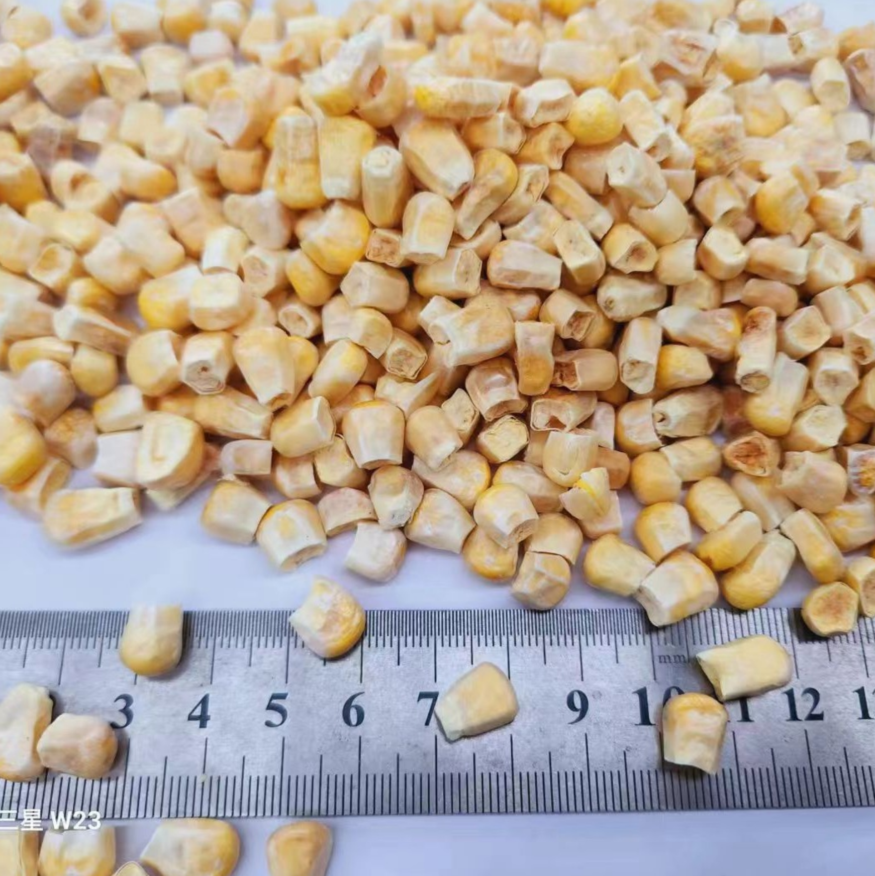 Freeze Dried Corn Grain