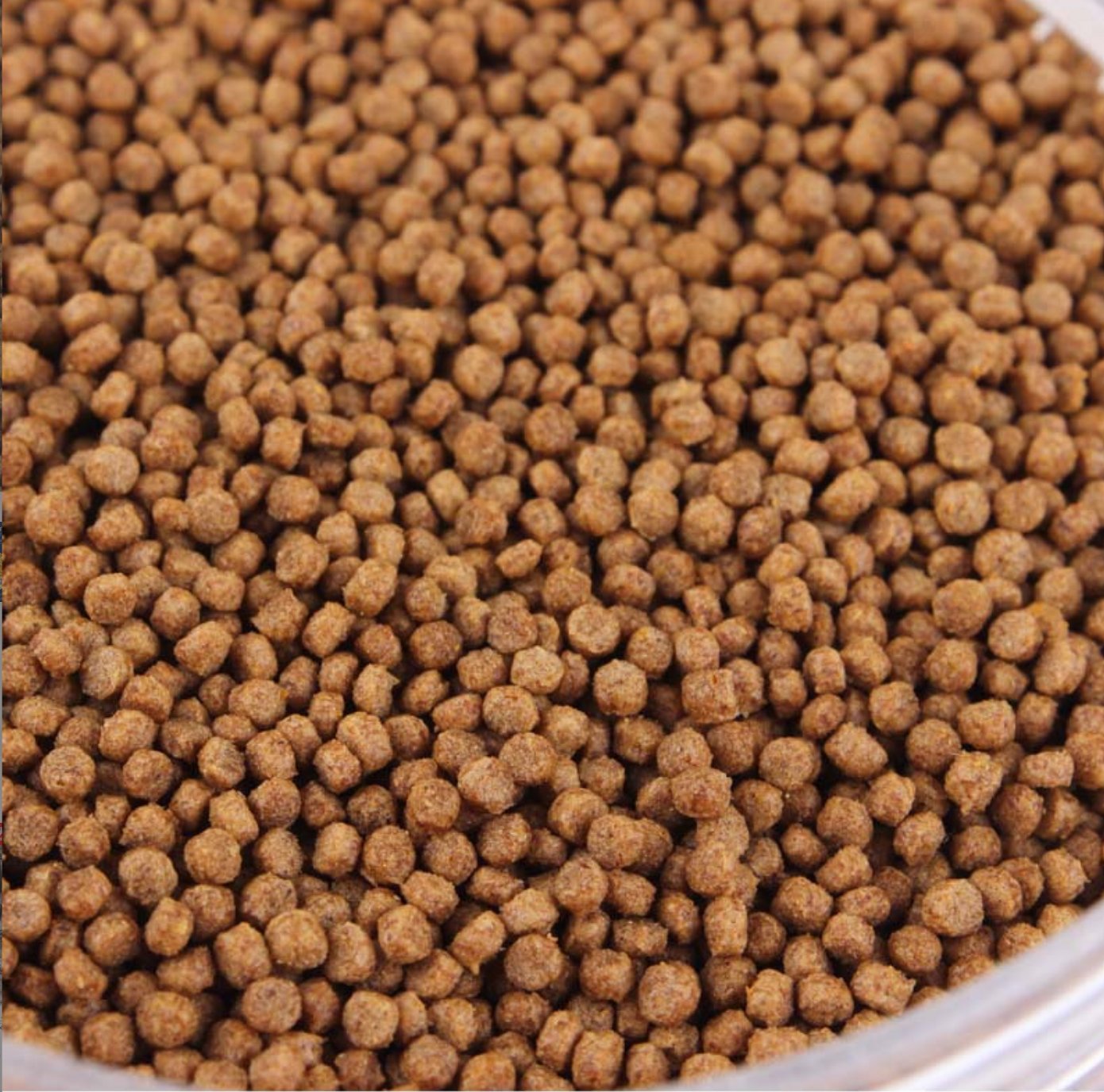 Turtle Food
