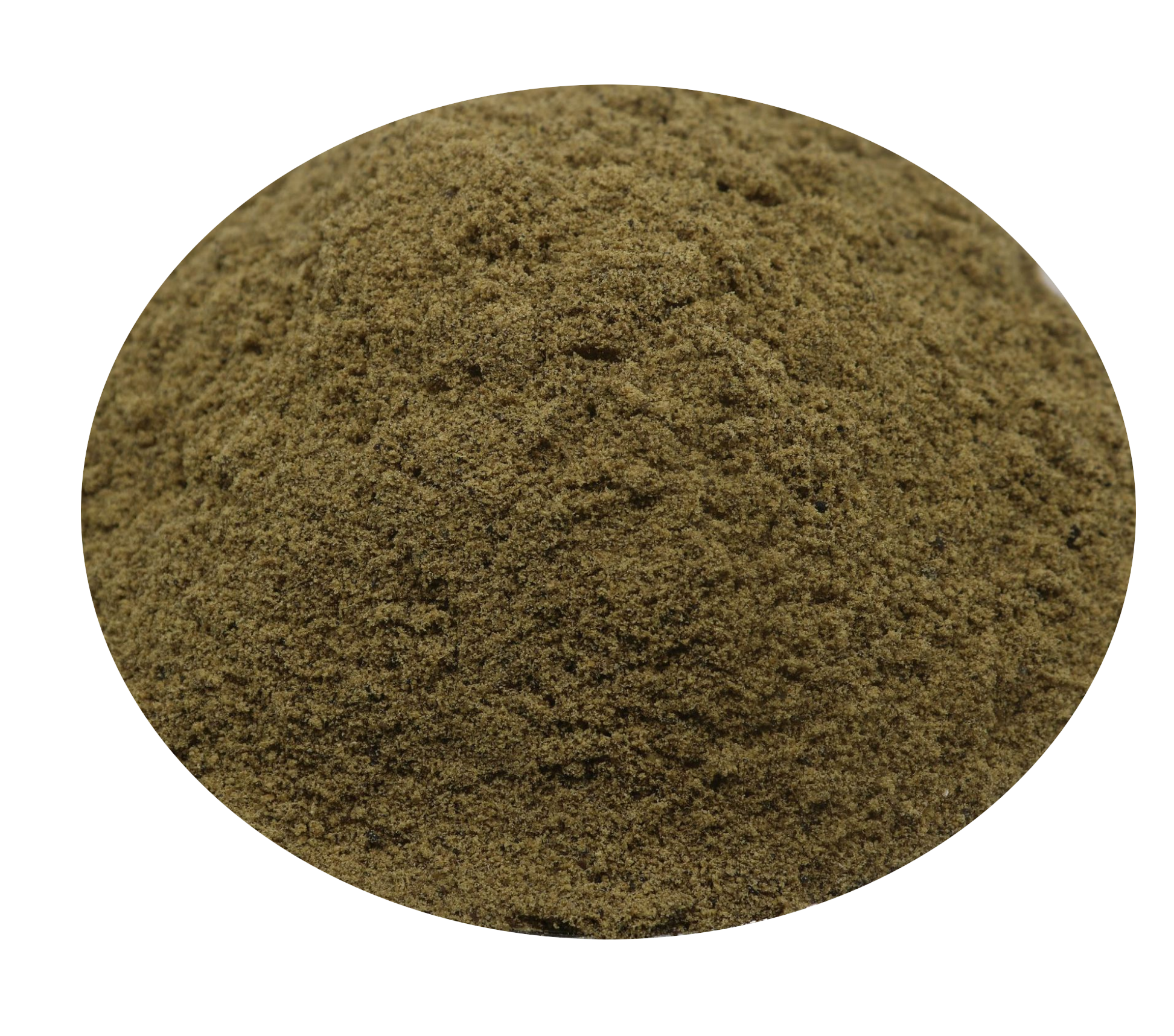 BSF Powder