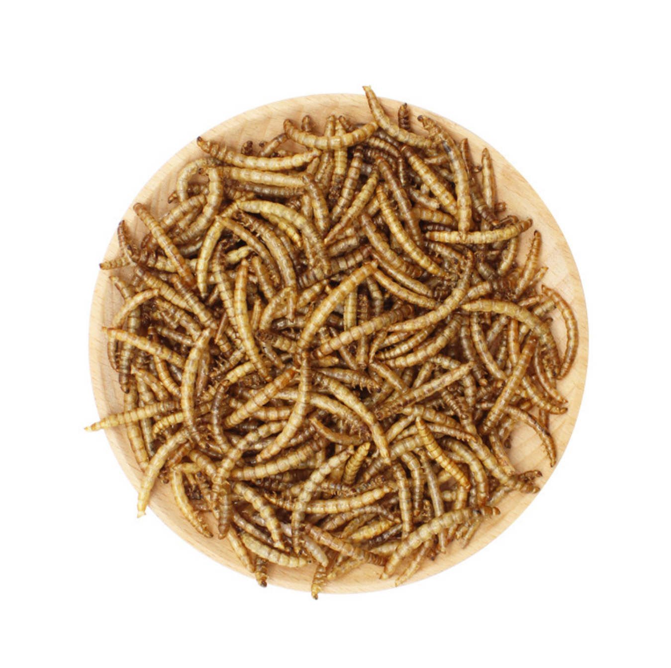 Microwave Dried Mealworms