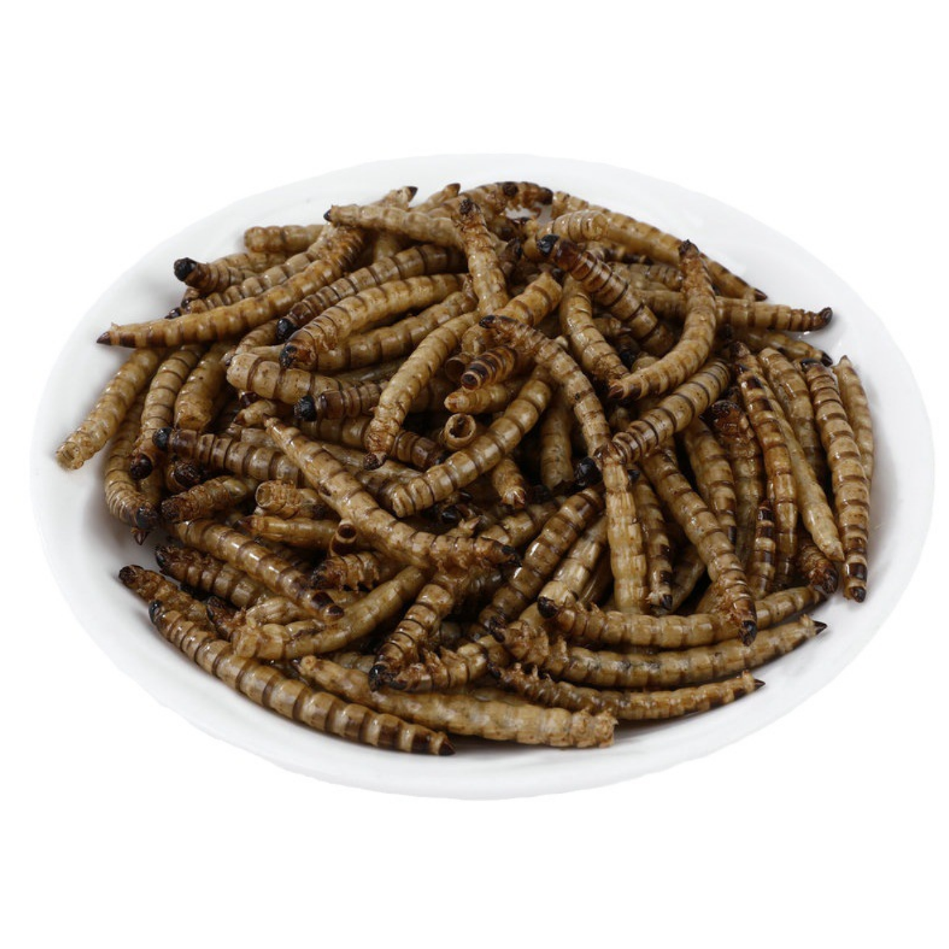 Microwave Dried Superworms