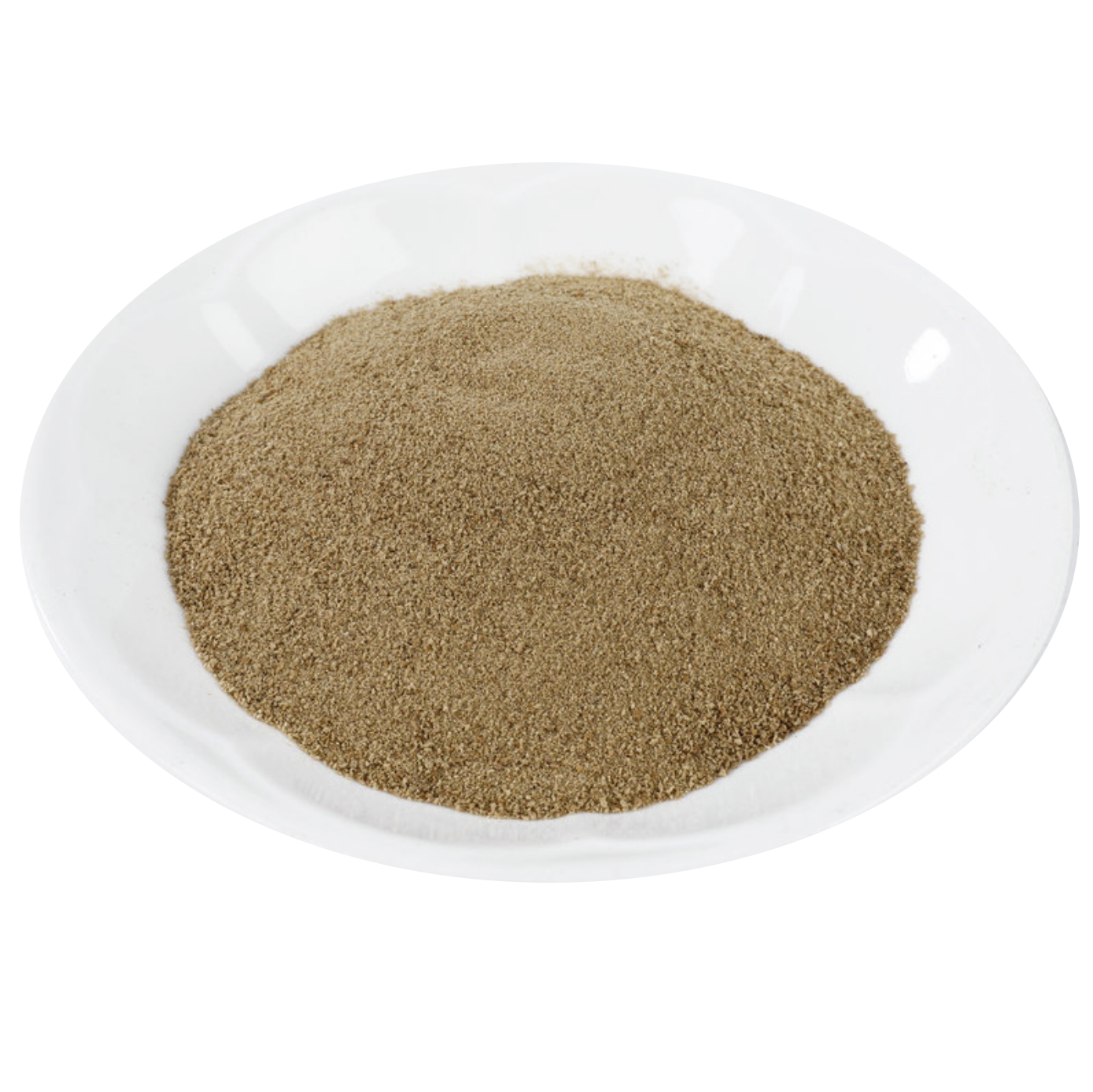 Freeze Dried Rotifera