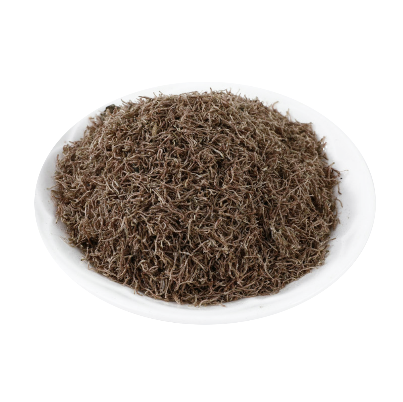 Freeze Dried Bloodworms Larvae