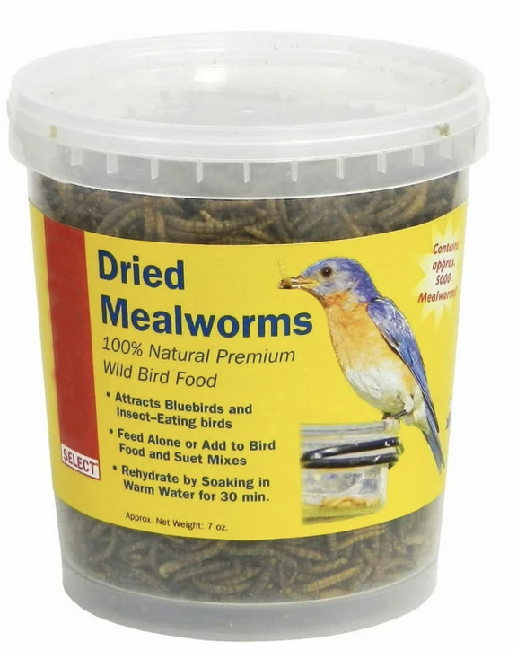 Dried Mealworms in Tub