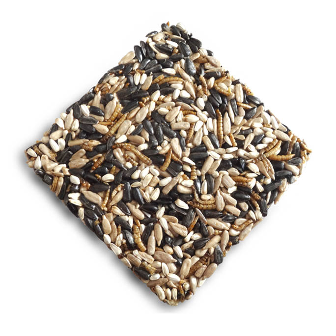 Mealworms&seed cakes