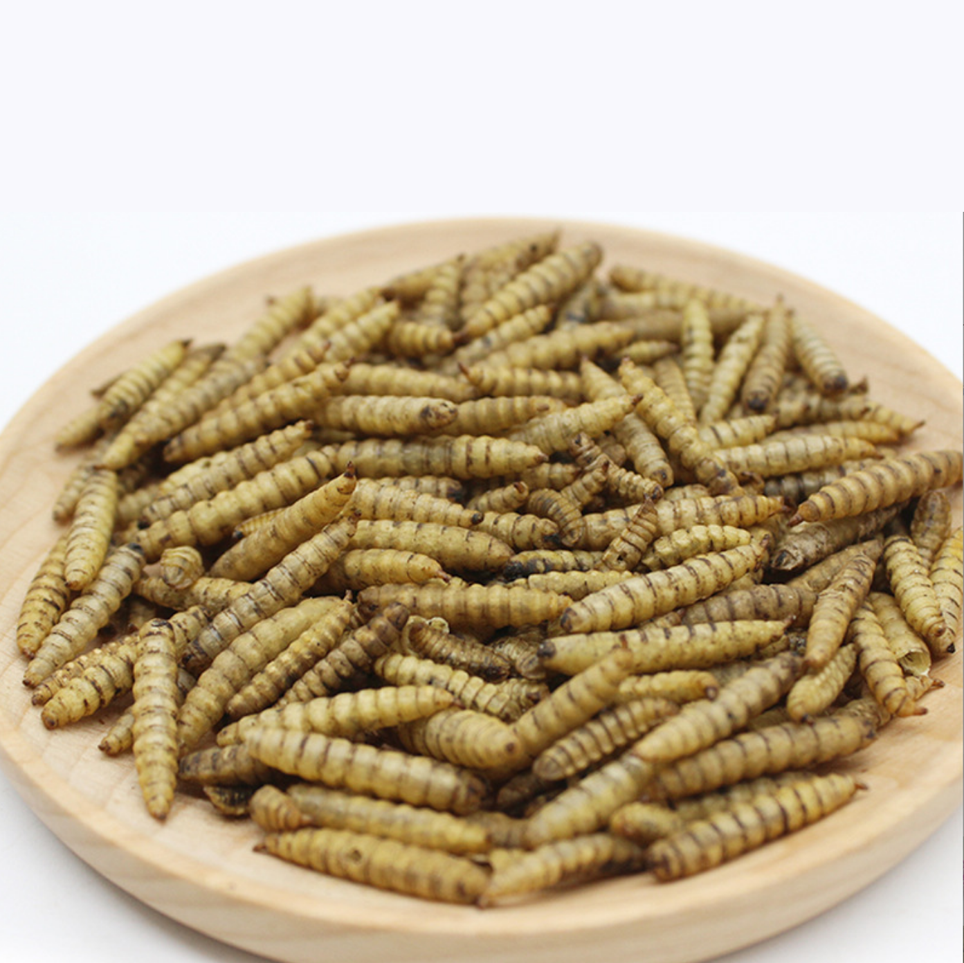 Dried Black Soldier Fly Larvae