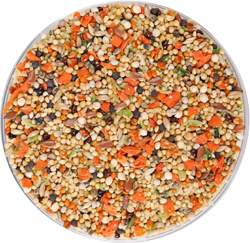 Specialized Food for Small Finches