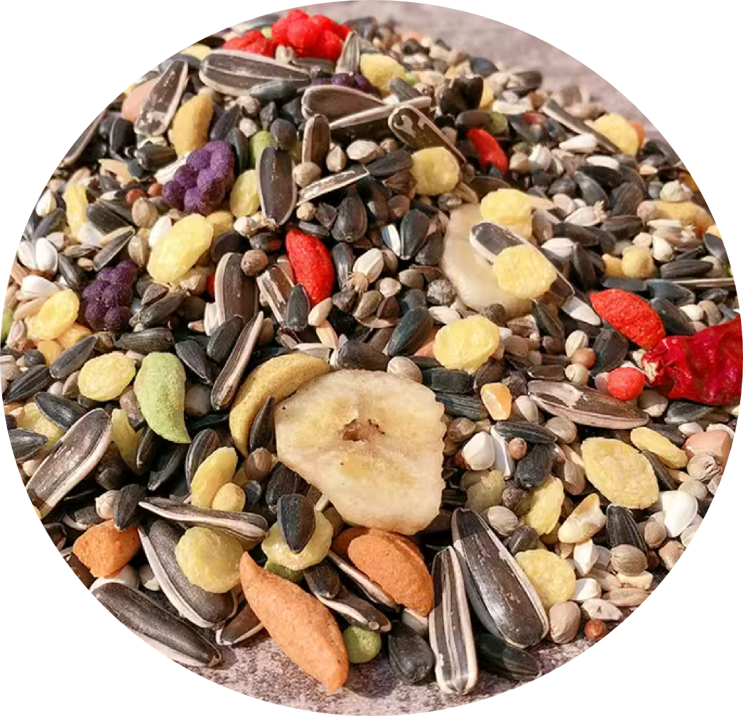 Nutritional Food for Large Parrots 