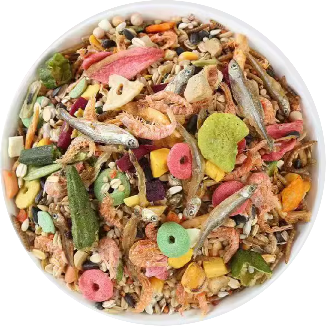 Seafood Food for Hamsters