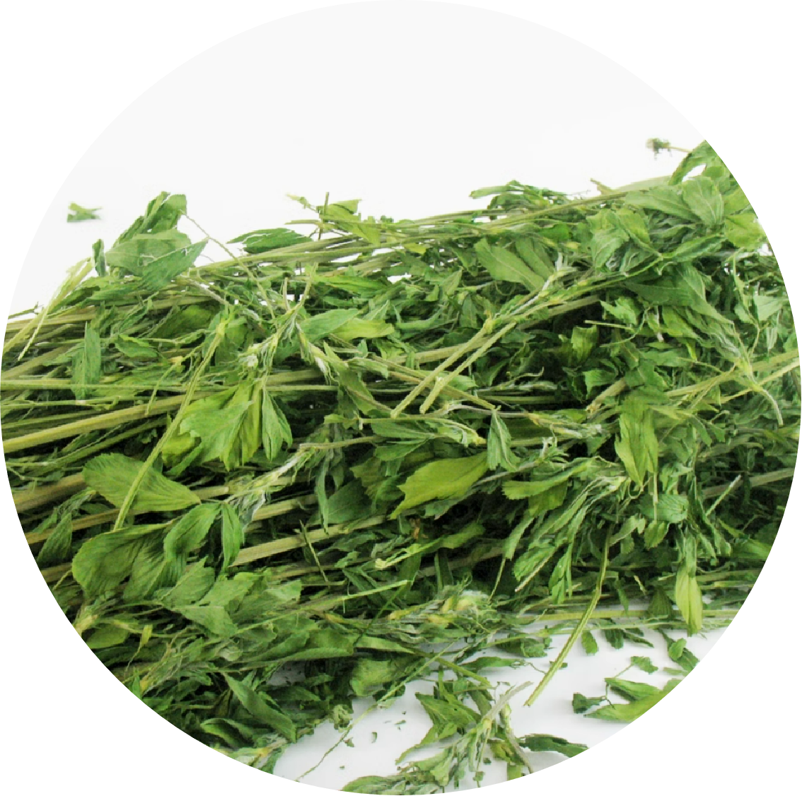 Alfalfa Hay for Rabbits