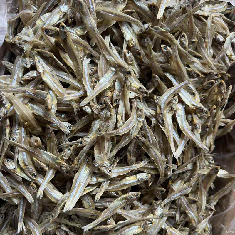 SD anchovies