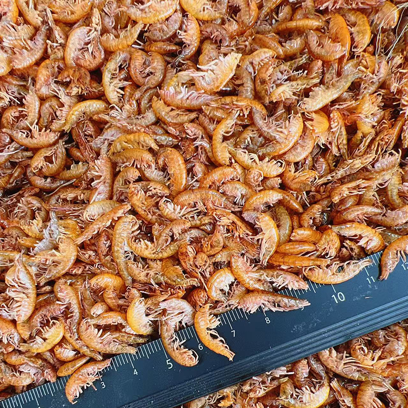 Sun-Dried Gammarus