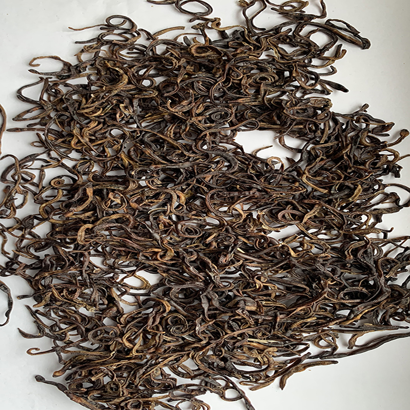 FD Bloodworms