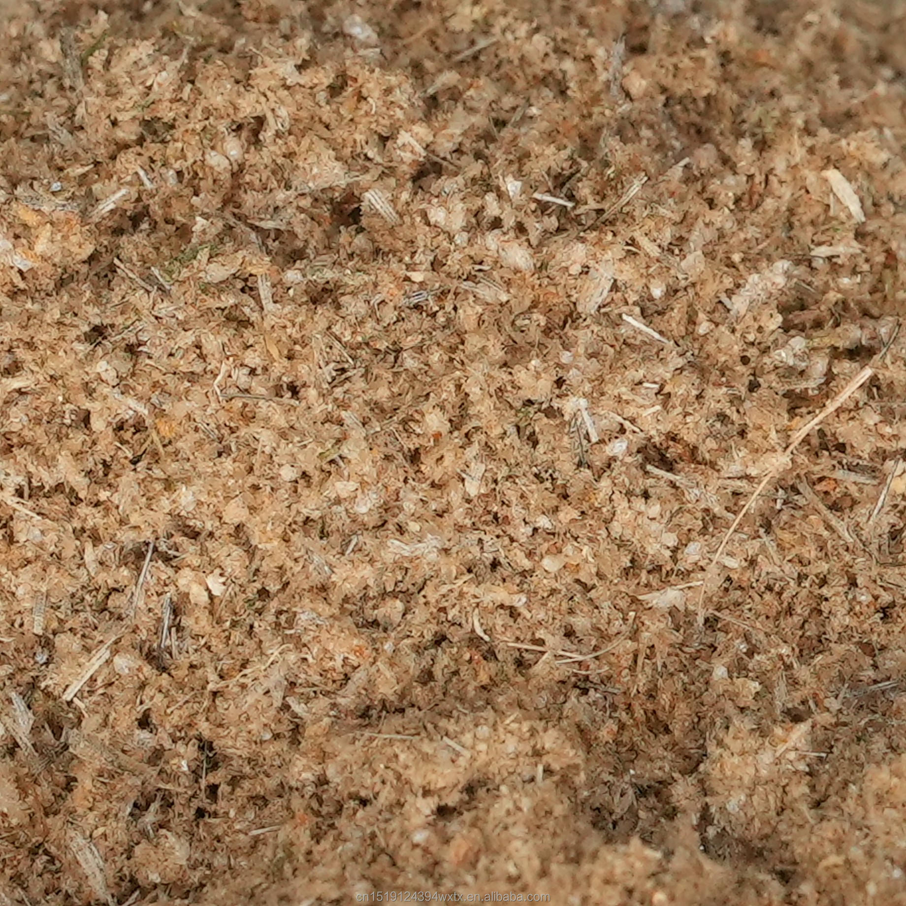 Fish Meal