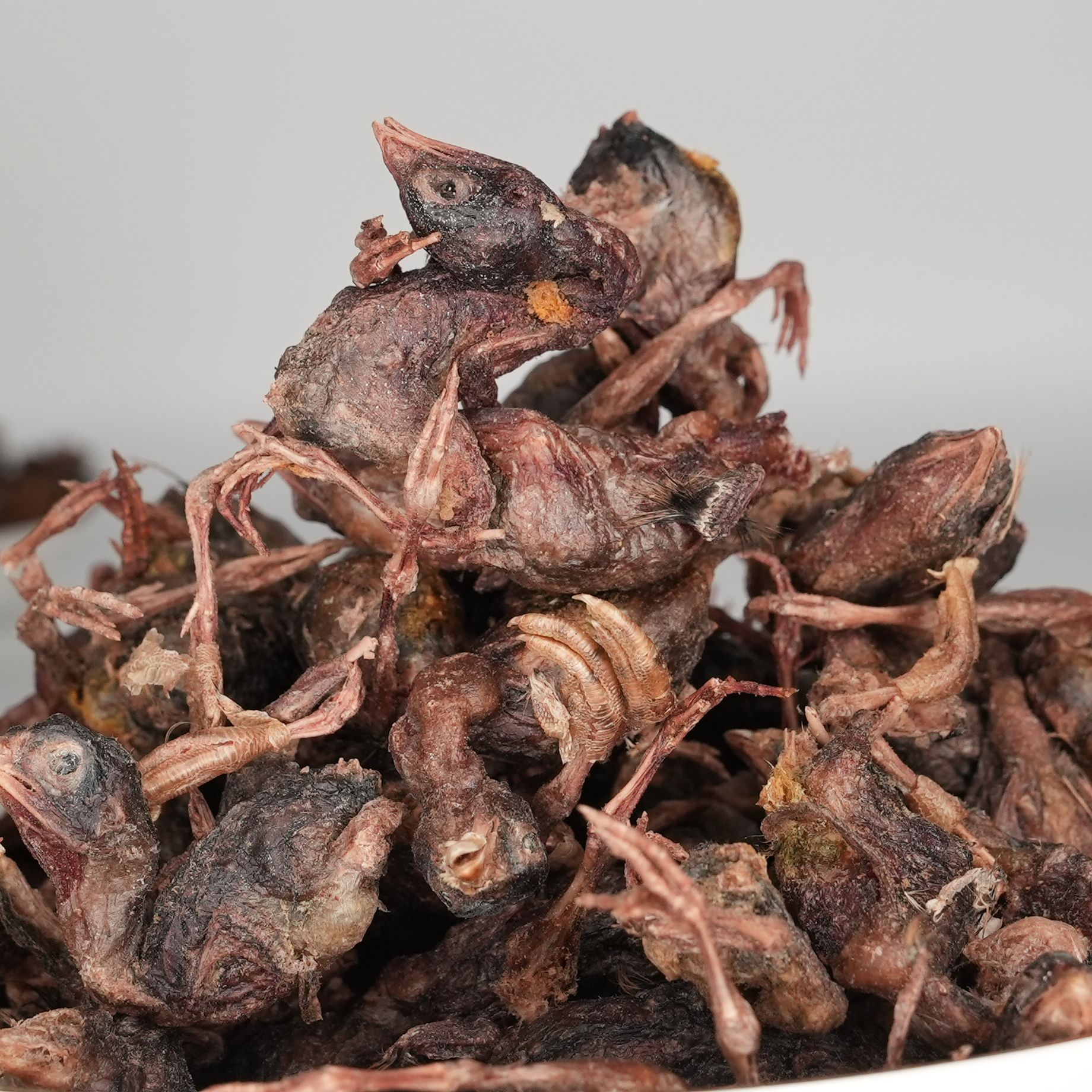 Freeze-Dried Quail